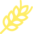 Nova Safra icon